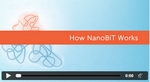 nanobitwork