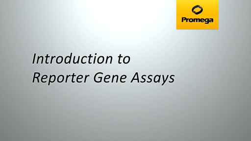 Introduction to Reporter Gene Assays