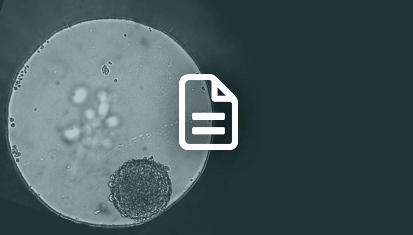 cancer drug screening