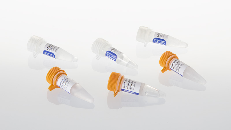 A3803-improm-ii-reverse-transcriptase