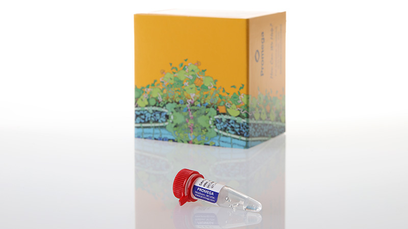 am2050sarscov2nernaquantstandard3