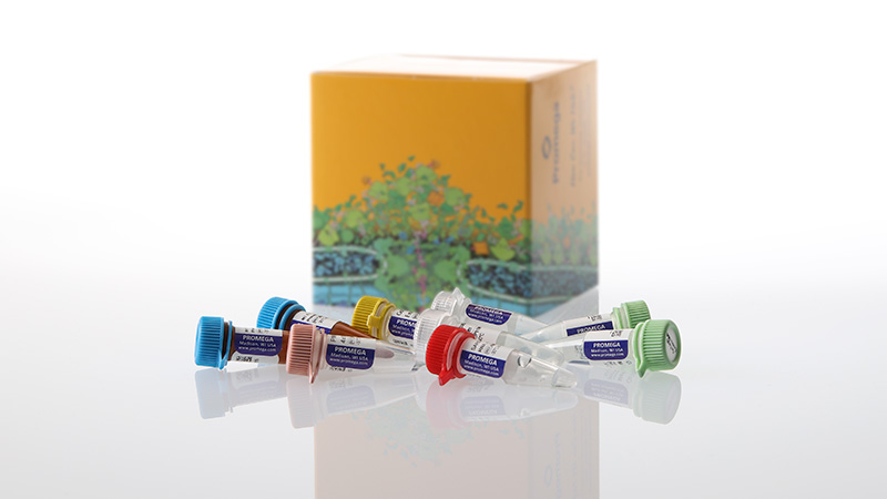 am2110gotaqenvirowastewatersarscov2systemn13