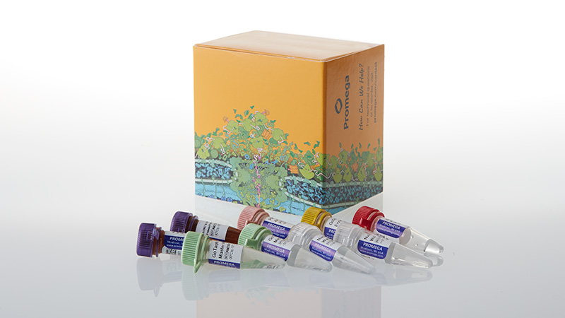 am2150-gotaq-enviro-wastewater-sars-cov-2-system-n1-n2-3