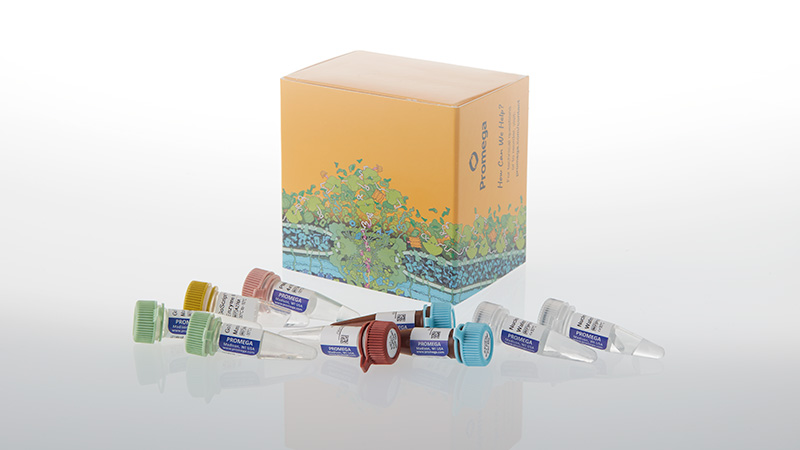 am2180-gotaq-enviro-wastewater-rsv-flu-sc2-system