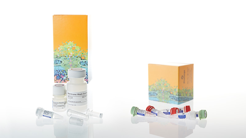 C8640_Flexi-Cloning-System