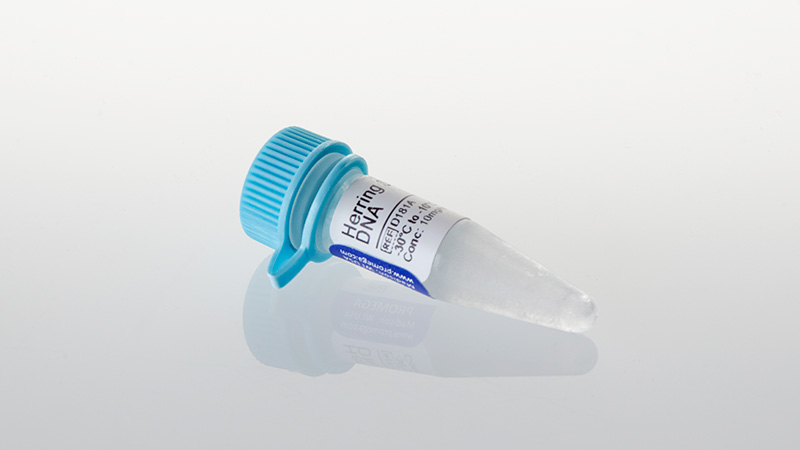 D1811_Herring-Sperm-DNA--10mg_3