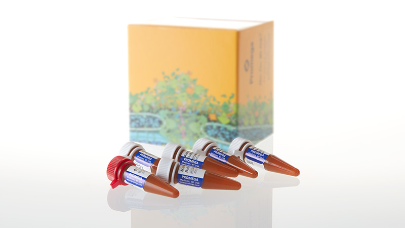 DG4800_PowerPlex--4C-Matrix-Standard--5-preps_3