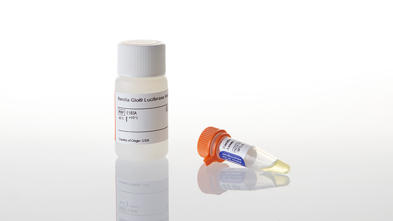 E2710_Renilla-Glo--Luciferase-Assay-System_3