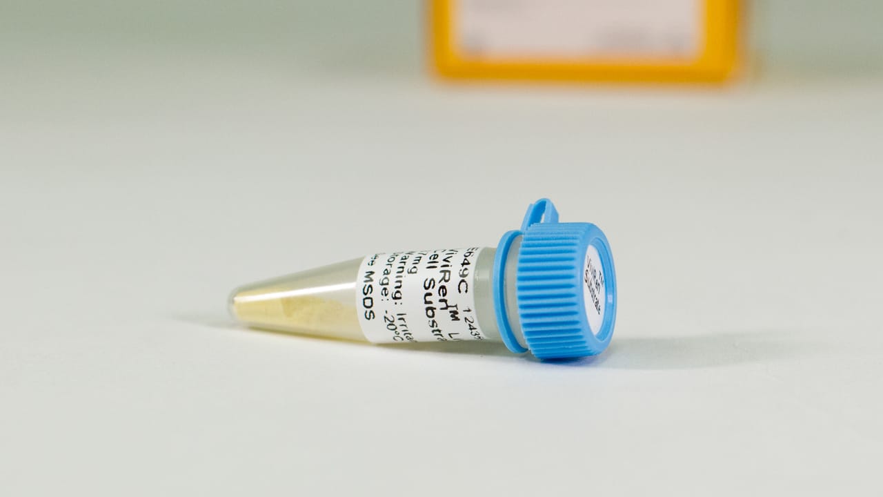 e6495