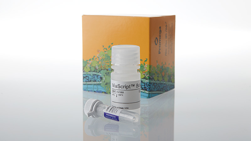 ev4961-viascript-mrna-transfection-reagent