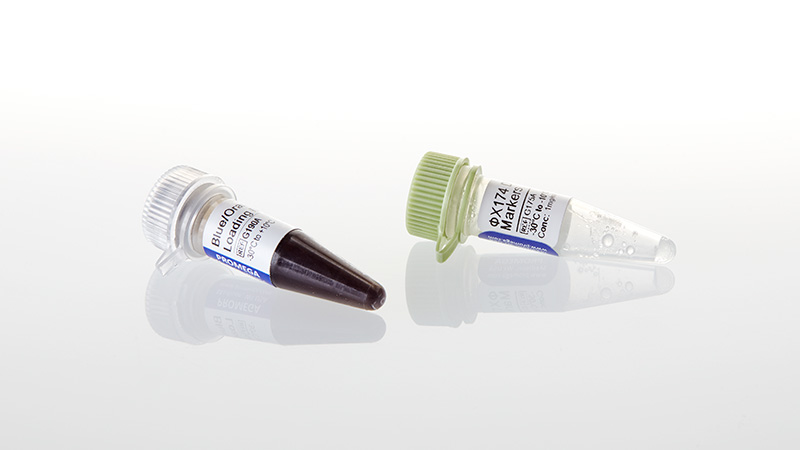 G1751_PhiX174-DNA--3a-Hinf-I-Markers--50ug_3