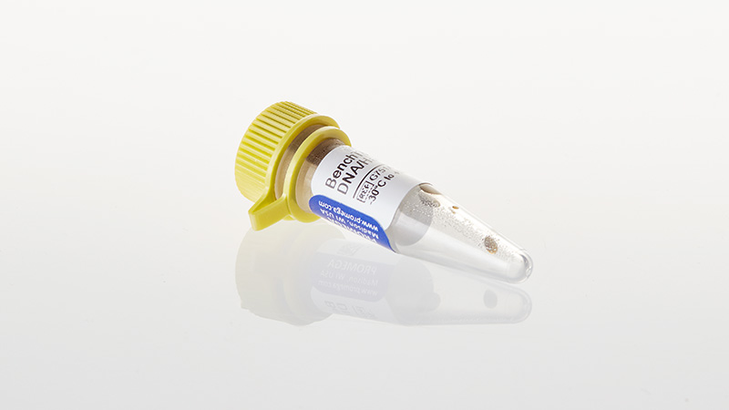 G7511-benchtop-phix174-dna-haeiii-markers