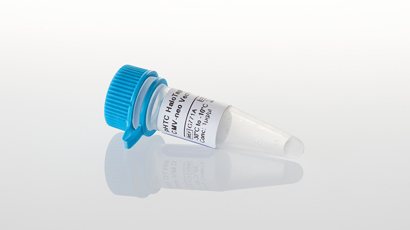 pHTC HaloTag® CMV-neo Vector