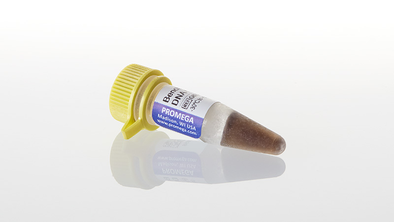 G8291_BenchTop-100bp-DNA-Ladder--300ul_3