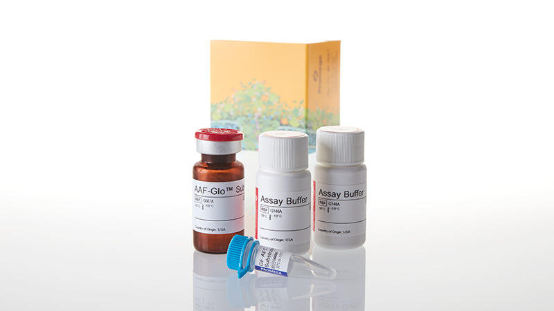 G9270_MultiTox-Glo-Multiplex-Cytotoxicity-Assa_3