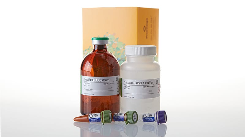 g9953-caspase-glo-1-inflammasome-assay