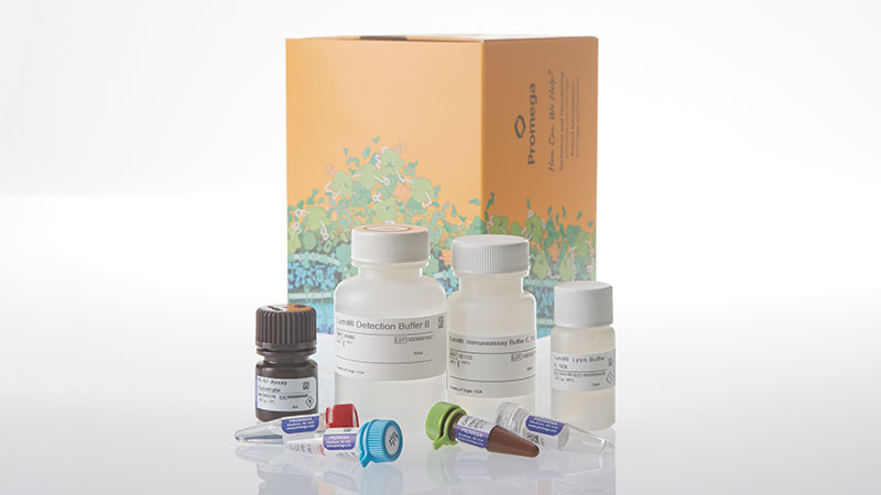 gc1001-lumit-cell-proliferation-assay-human-ki-67