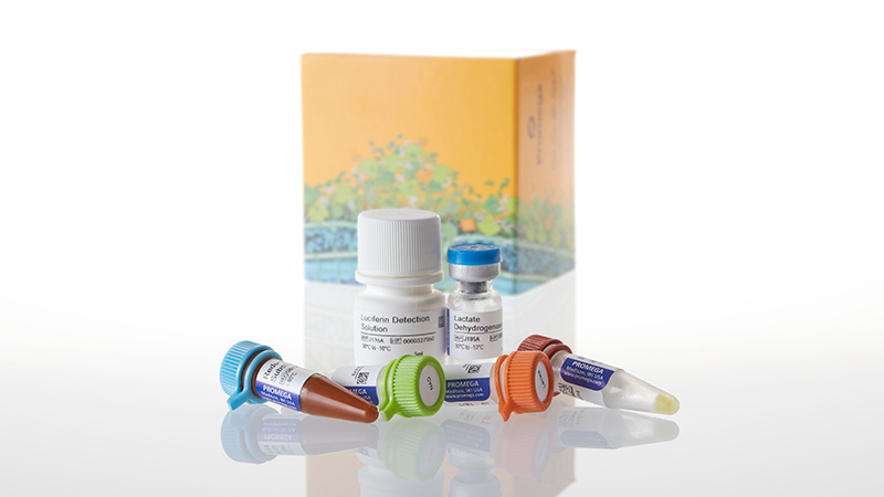 J5021_Lactate-Glo Assay-5ml_3