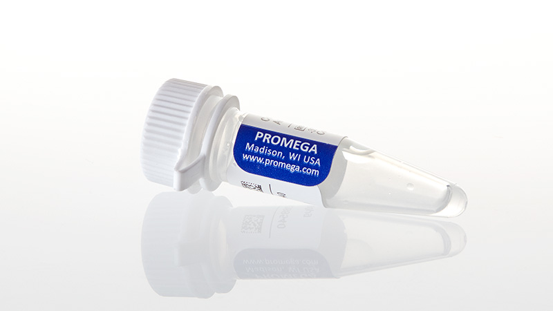 A1020_Control-Ab--Anti-CTLA-4