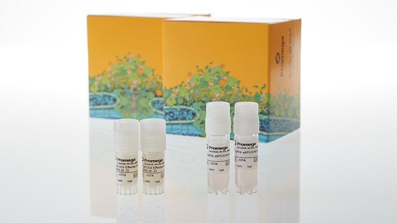 JA1072_CD28-Bioassay--Propagation-Model_3