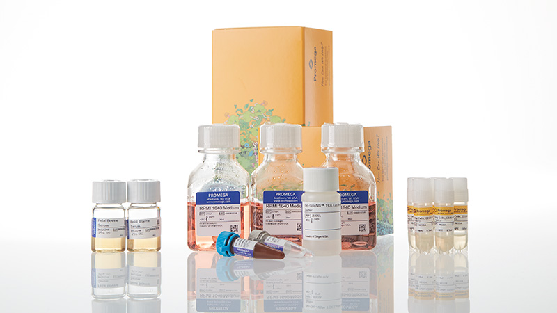 ja1265-raji-ht-hibit-cd20-ko-tck-bioassay-5x