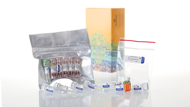 L5010_TnT Coupled Reticulocyte Lysate Systems-T7-T3-40rxn_3