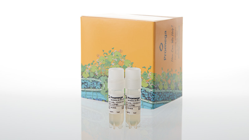 m2062-raji-ldh-hibit-cd20-ko-tck-bioassay-propagation-model