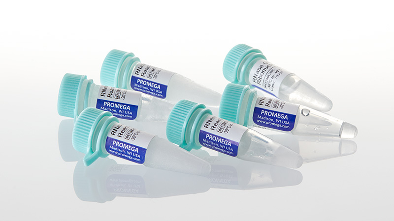 M4265_RNase-ONE---5-000u_3