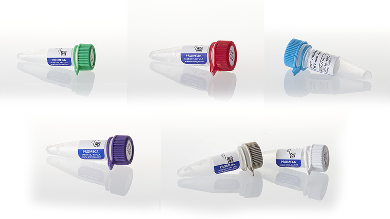 N1811_Nano-Glo-Dual-Luciferase-Reporter-Assay