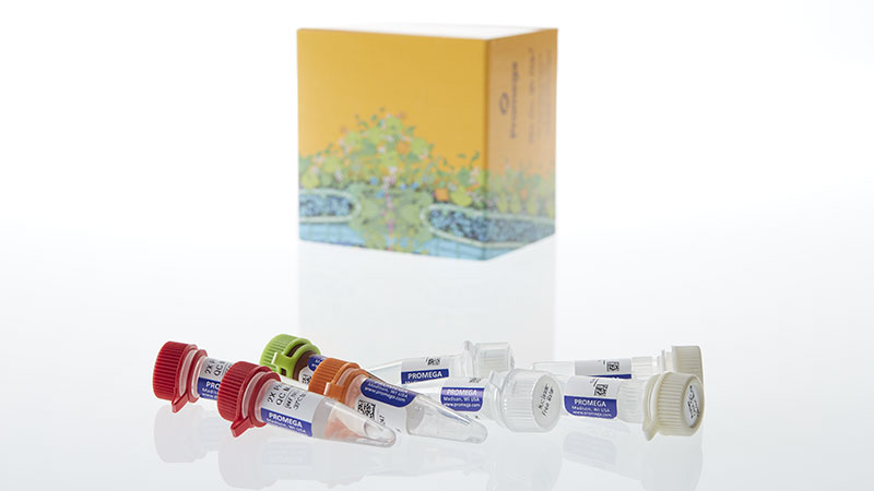 NG1004_ProNex--DNA-QC-Assay-BioRad-CFX96-_3