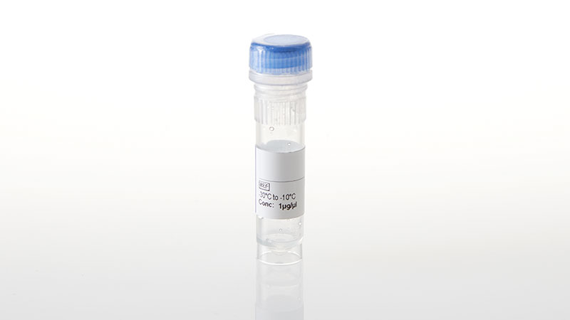 NV4391_TEK-Y1108F--NanoLuc- Fusion Vector- 20ug