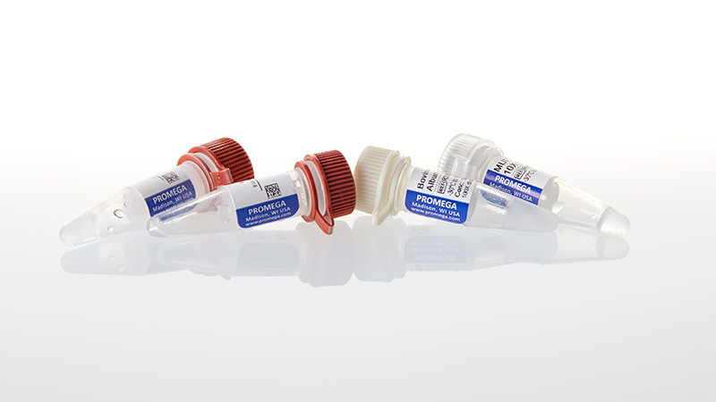 R6501_NheI--GQ--250u_3