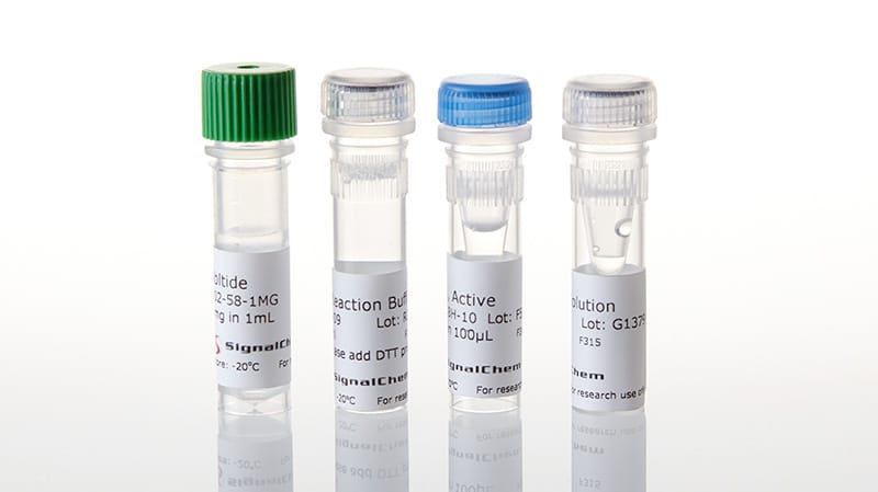 Kinase