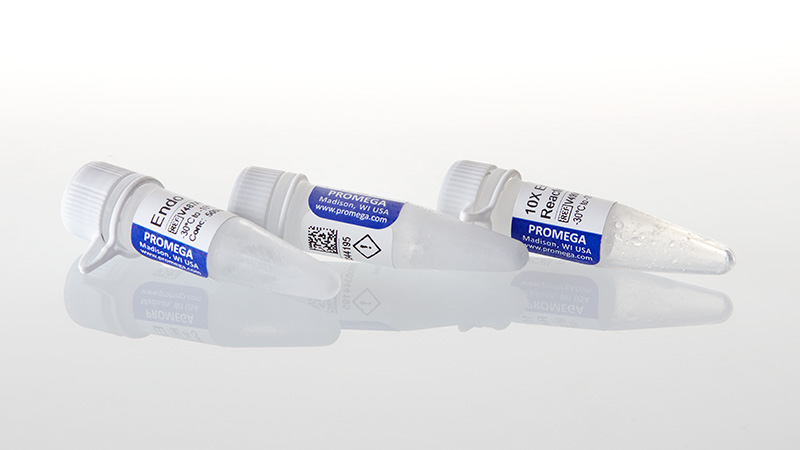 V4871_Endo-H--10-000-units_3