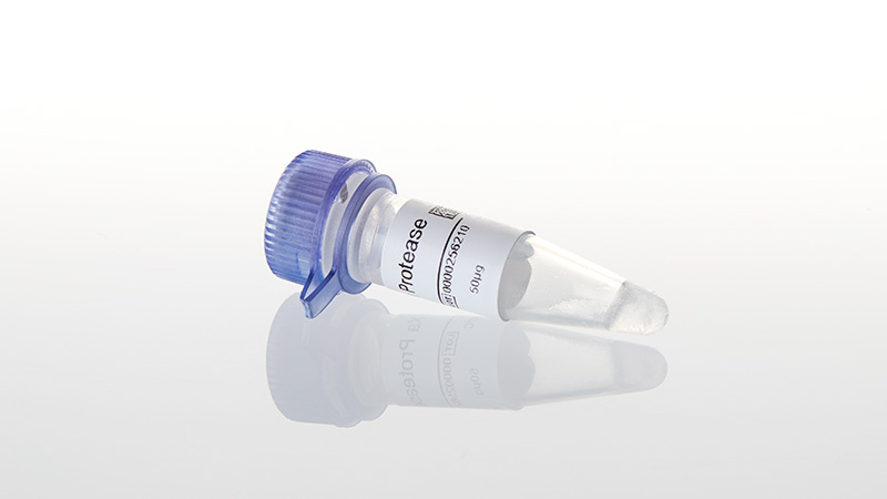 V5581_Factor-Xa-Protease_3
