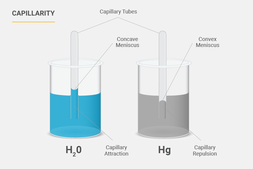 capillarity