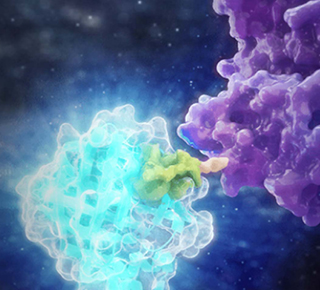 Automation of luminescent cell based assays
