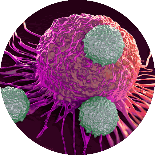 microsatellite instability and cancer illustration