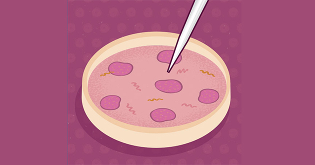 authentification-des-lignees