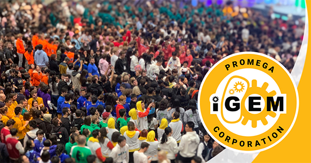 igem