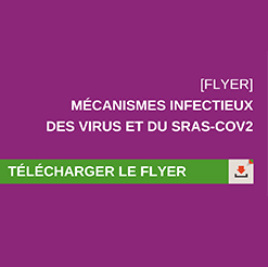Promega France