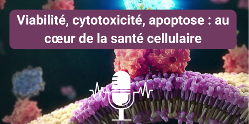 podcast-cvs