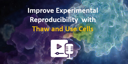 thaw-and-use