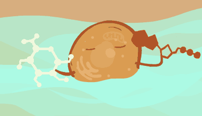 49129796-cell-health-assay-cell-viability-middle-revised