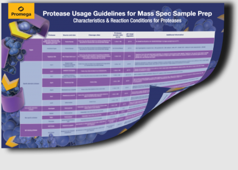 capture-dcran-20240308-155950