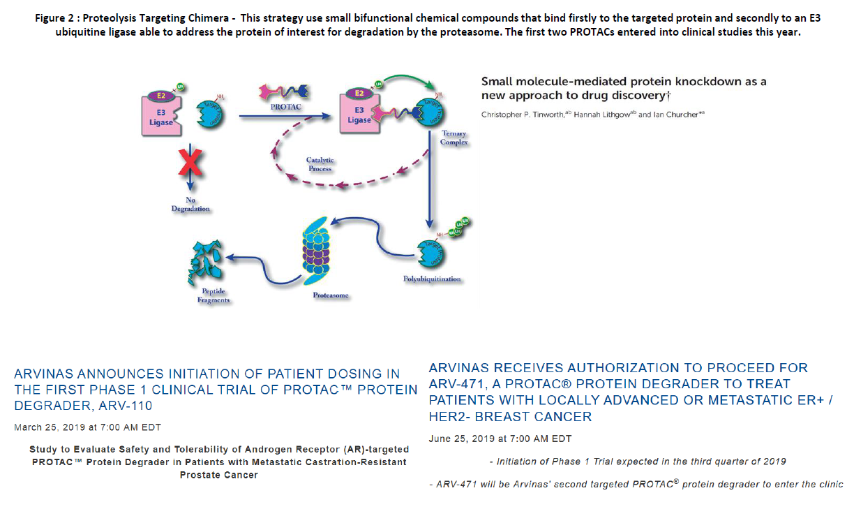 Small molecule-mediated protein knockdown drug discovery