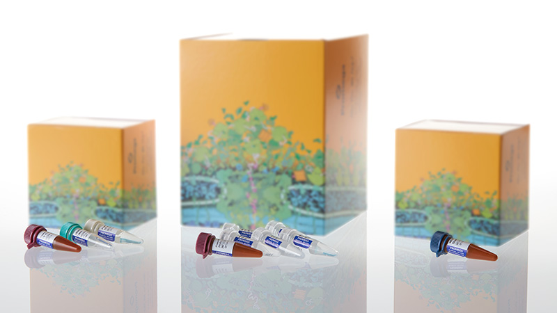 dc2402-powerplex-fusion-system-200rxn