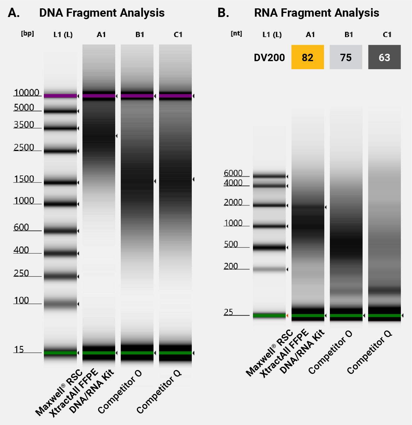 Maxwell® RSC XtractAll FFPE DNA/RNA Kit