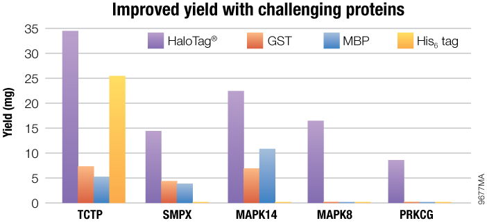 Halolik Rasm pH6HTN and pH6HTC His6HaloTag® T7 Vectors