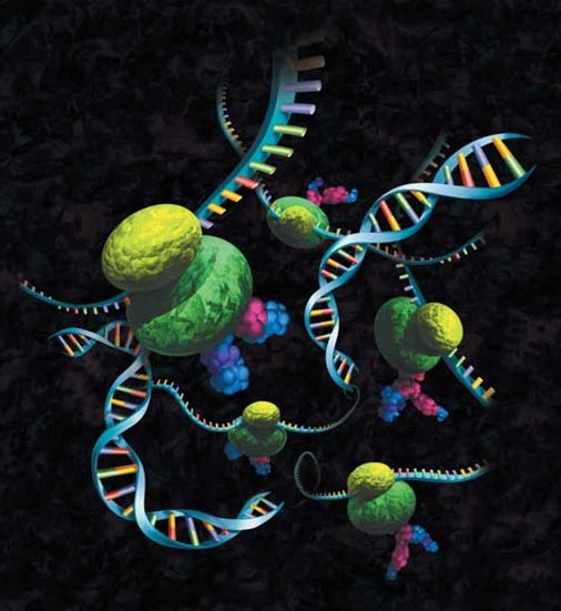 invitroexpressionguide-images-05